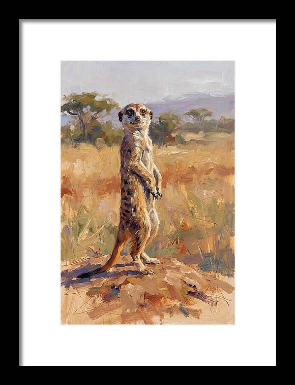 Meerkat In The Wild