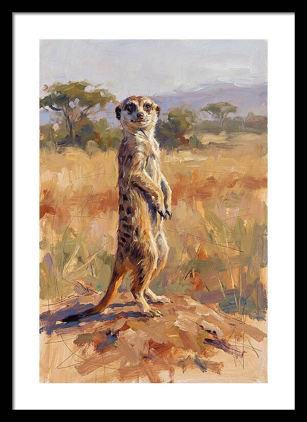 Meerkat In The Wild