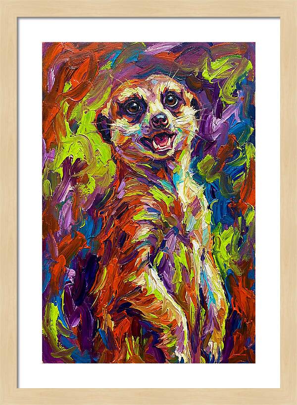 Meerkat In Vibrant Colors