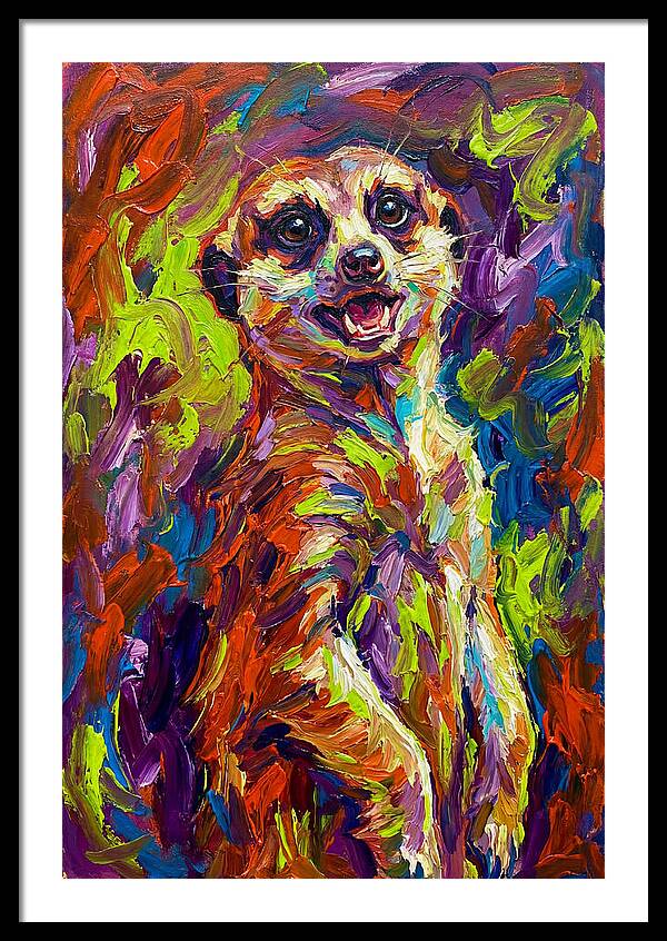 Meerkat In Vibrant Colors