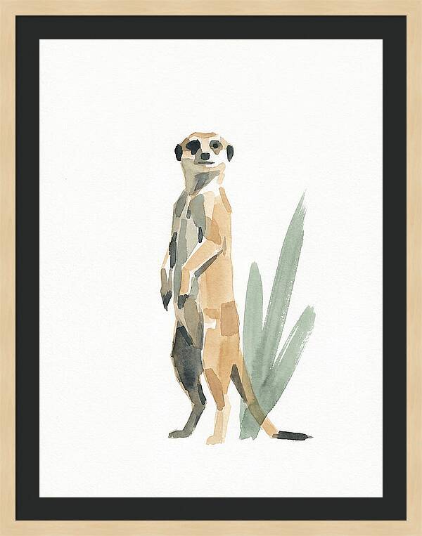 Meerkat Standing Tall