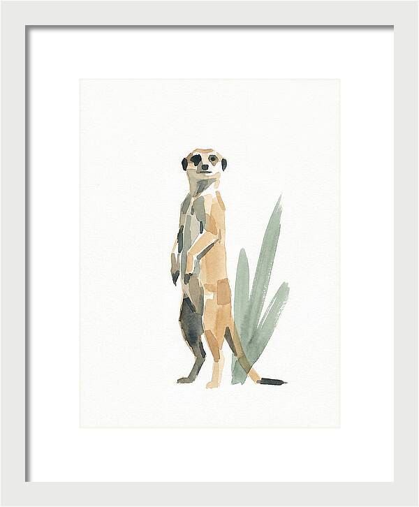 Meerkat Standing Tall