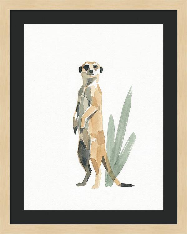 Meerkat Standing Tall