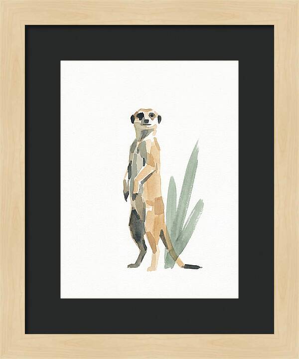Meerkat Standing Tall
