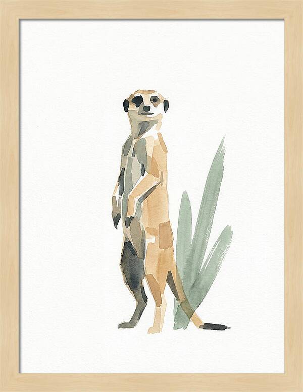 Meerkat Standing Tall
