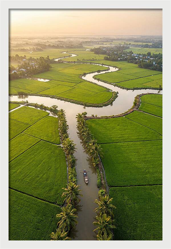 Mekong Delta Serenity At Dawn