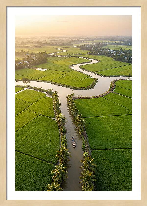 Mekong Delta Serenity At Dawn