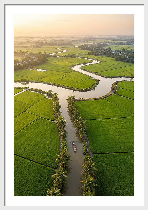 Mekong Delta Serenity At Dawn