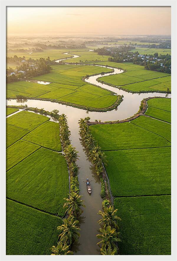 Mekong Delta Serenity At Dawn