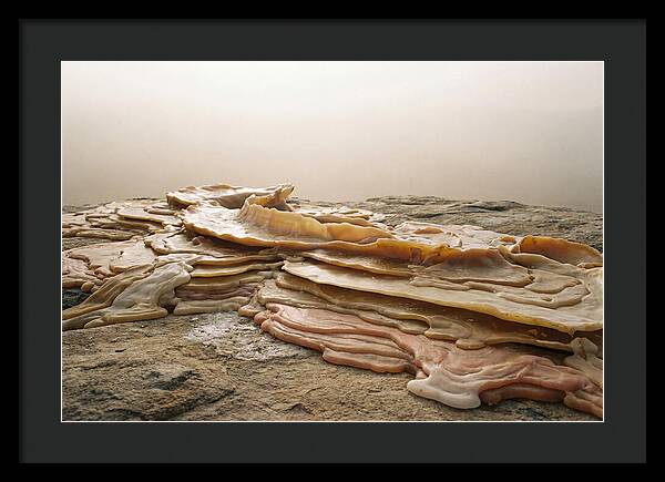 Melted Wax Layers