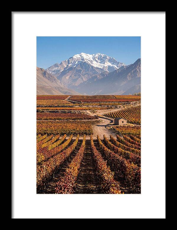 Mendoza Wine Country Serenity