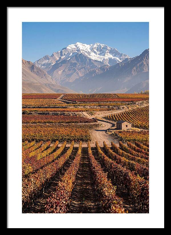 Mendoza Wine Country Serenity