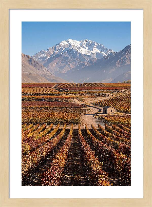Mendoza Wine Country Serenity