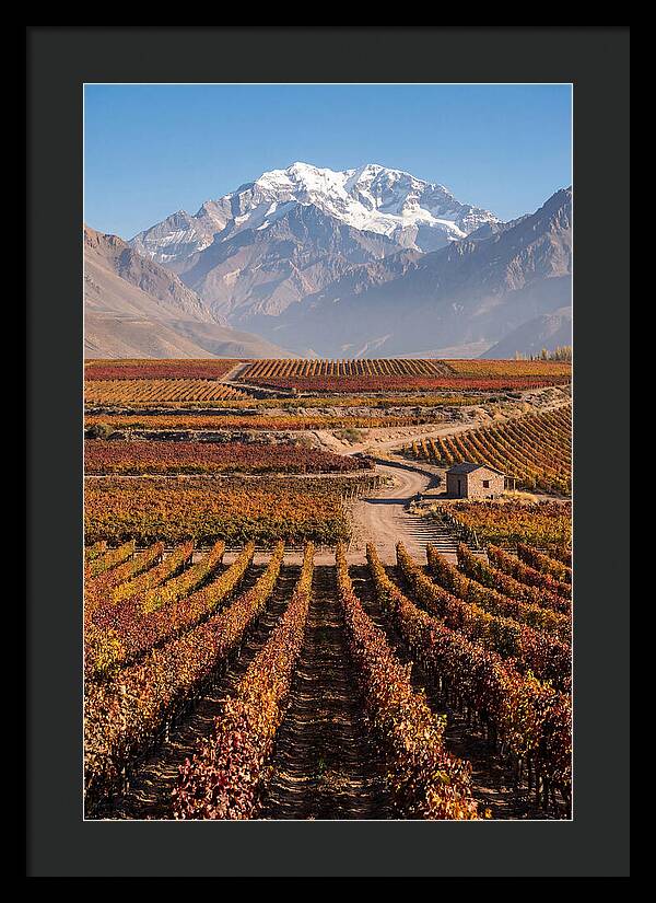 Mendoza Wine Country Serenity
