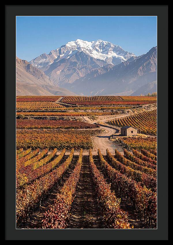 Mendoza Wine Country Serenity