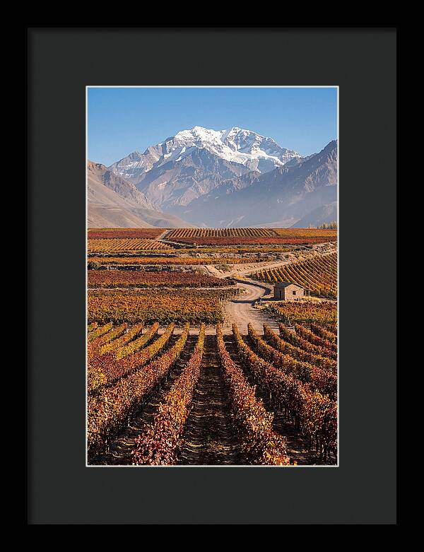 Mendoza Wine Country Serenity