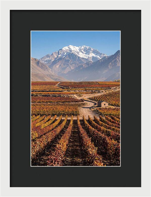 Mendoza Wine Country Serenity