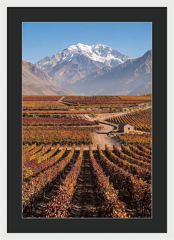 Mendoza Wine Country Serenity