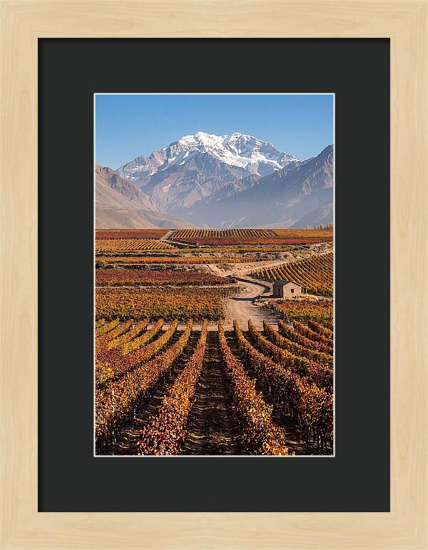 Mendoza Wine Country Serenity
