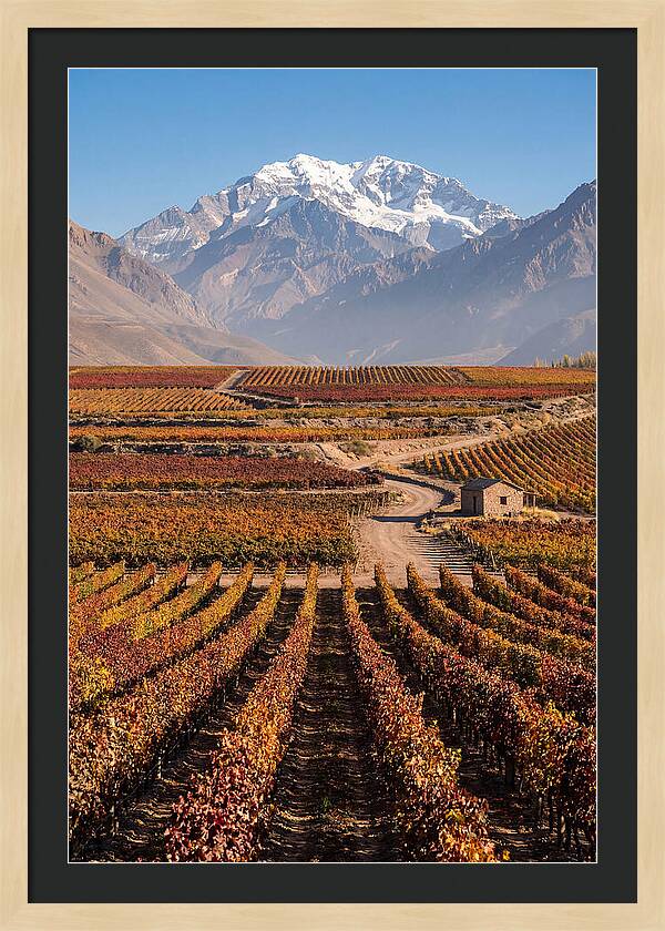 Mendoza Wine Country Serenity