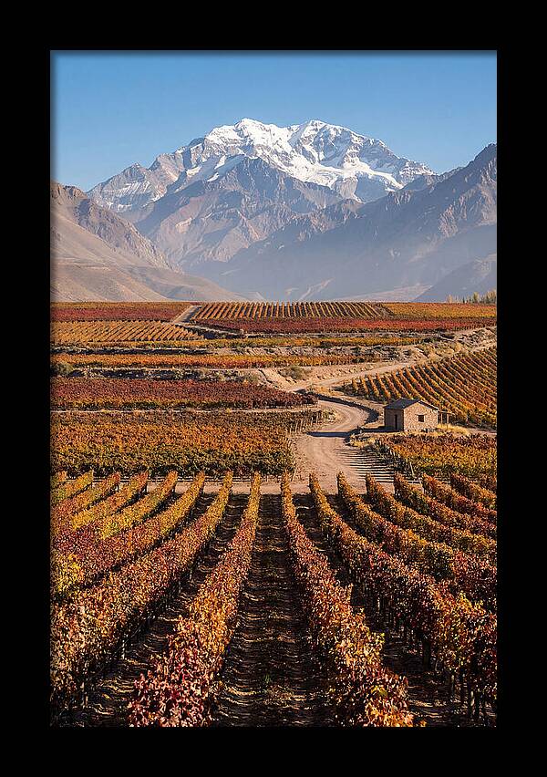 Mendoza Wine Country Serenity