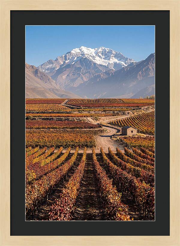 Mendoza Wine Country Serenity