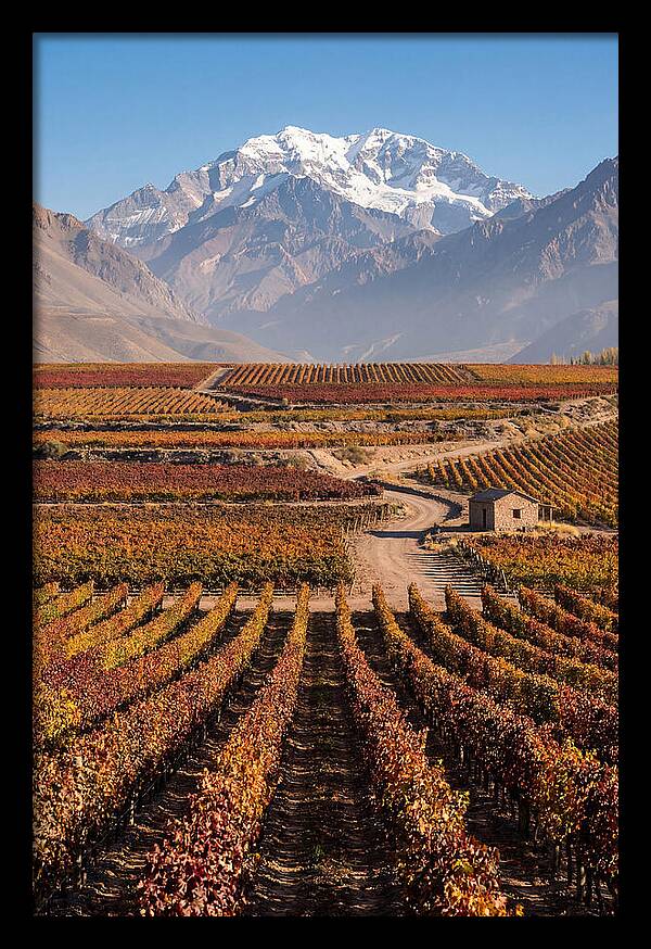 Mendoza Wine Country Serenity
