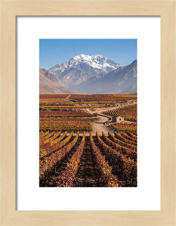 Mendoza Wine Country Serenity