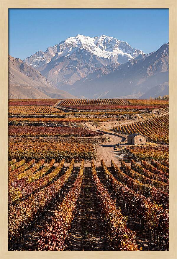 Mendoza Wine Country Serenity