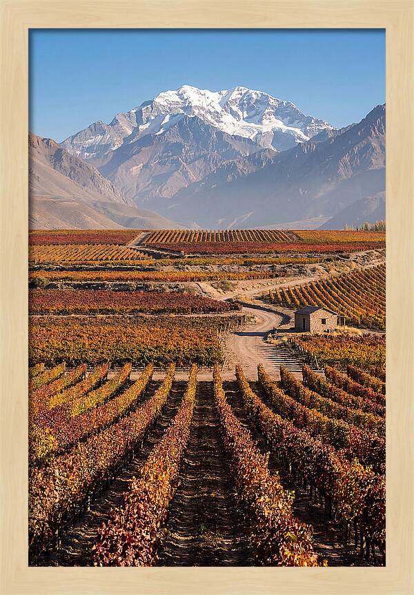 Mendoza Wine Country Serenity