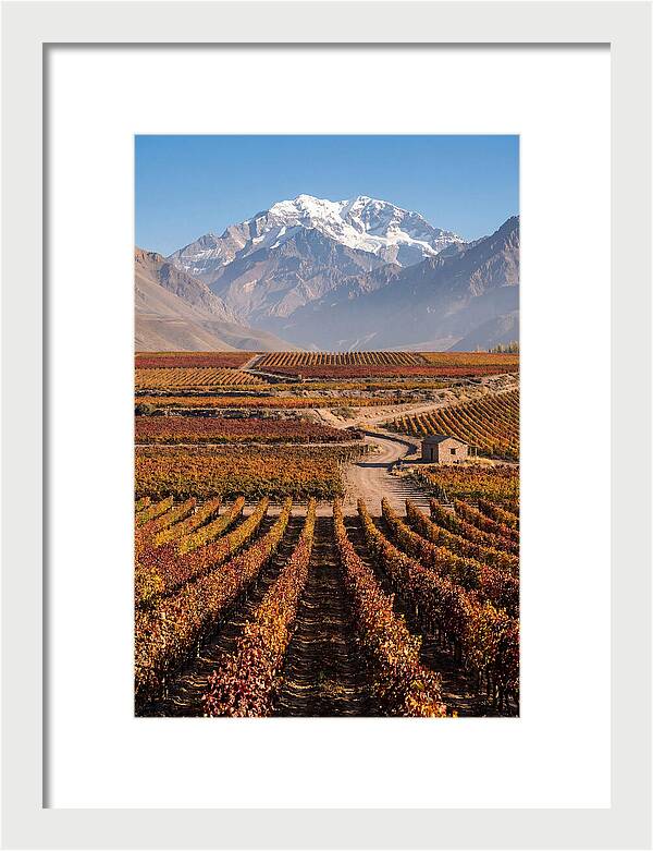 Mendoza Wine Country Serenity