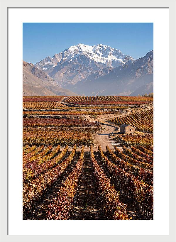Mendoza Wine Country Serenity