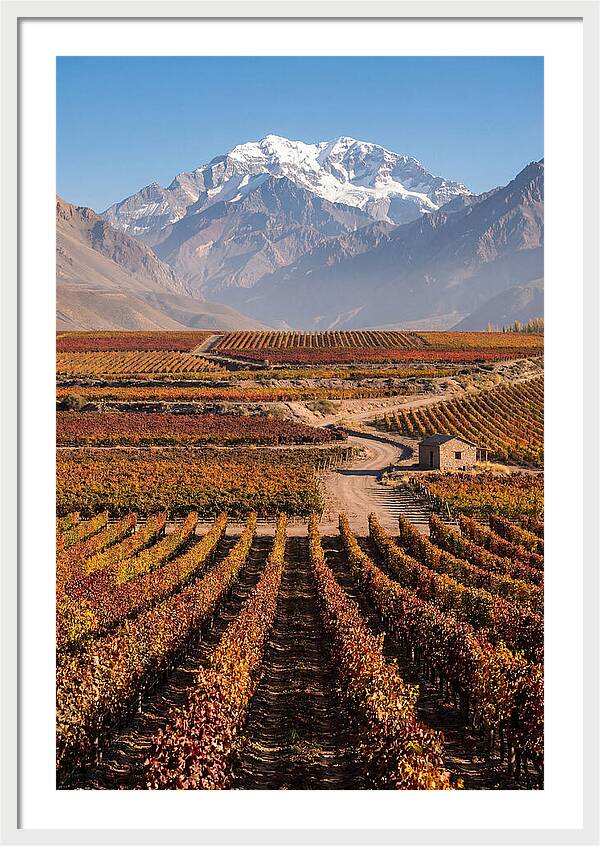 Mendoza Wine Country Serenity