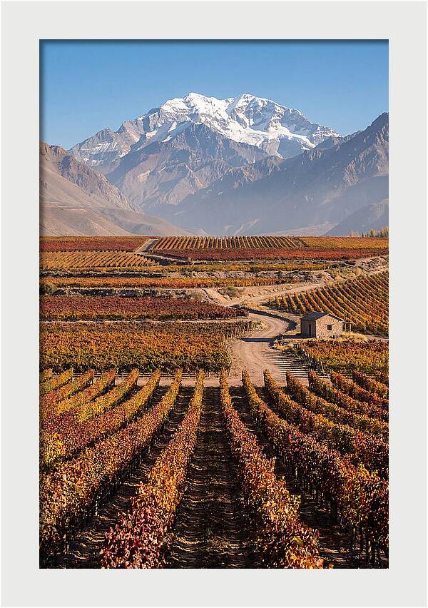 Mendoza Wine Country Serenity