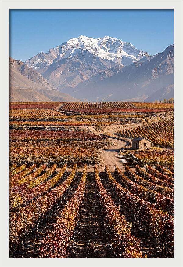 Mendoza Wine Country Serenity