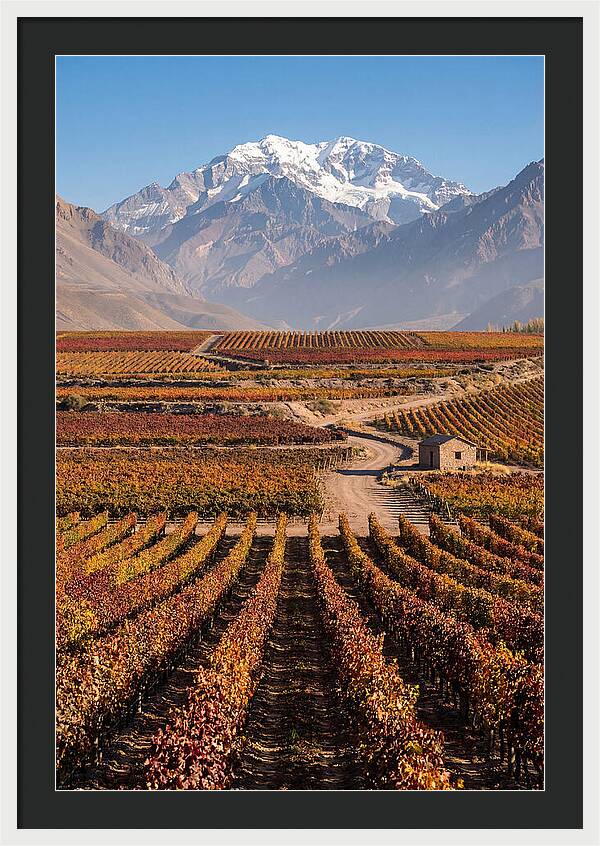 Mendoza Wine Country Serenity