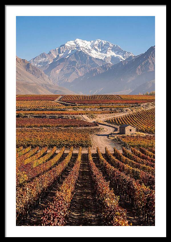 Mendoza Wine Country Serenity