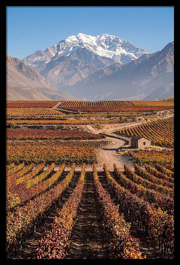 Mendoza Wine Country Serenity