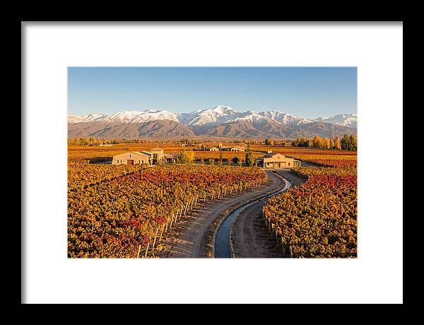 Mendoza Wine Region Serenity