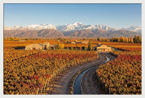 Mendoza Wine Region Serenity