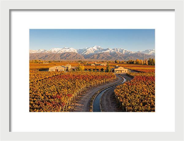 Mendoza Wine Region Serenity