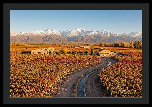 Mendoza Wine Region Serenity