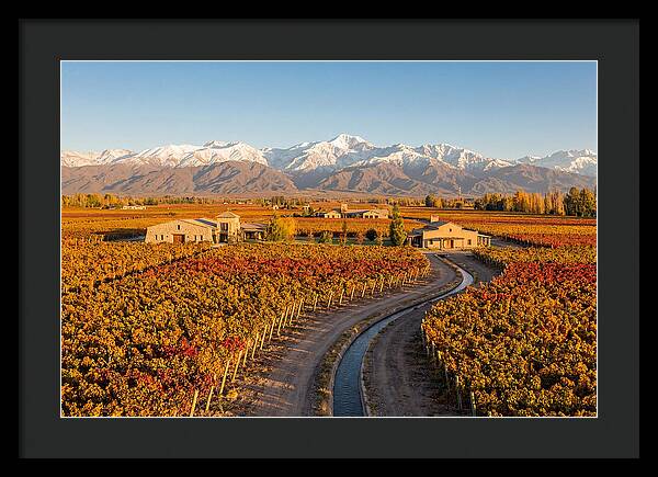Mendoza Wine Region Serenity