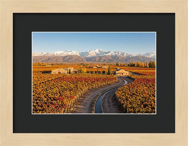 Mendoza Wine Region Serenity