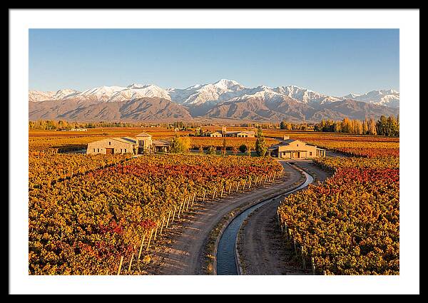 Mendoza Wine Region Serenity