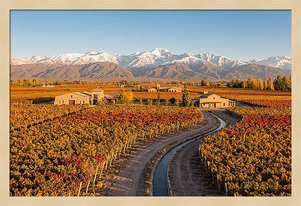 Mendoza Wine Region Serenity
