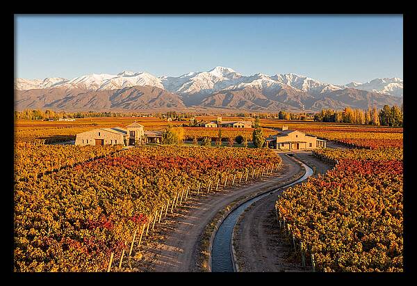 Mendoza Wine Region Serenity