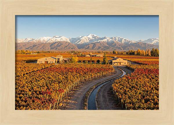 Mendoza Wine Region Serenity