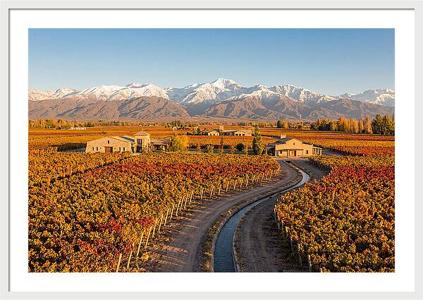 Mendoza Wine Region Serenity