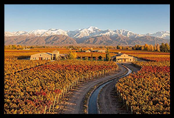 Mendoza Wine Region Serenity